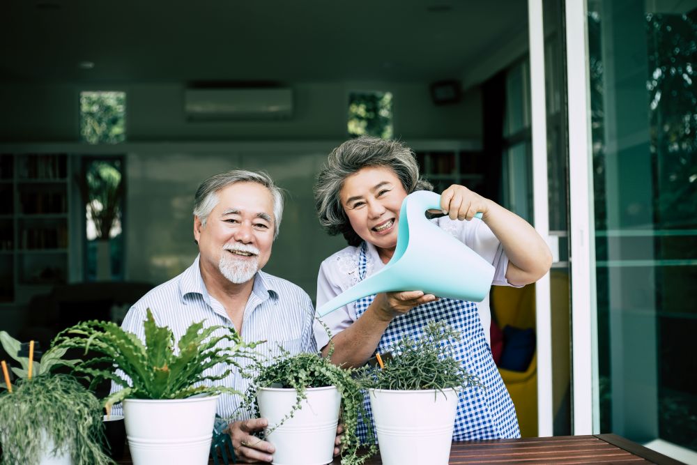 elderly-couples