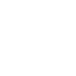 skilled-worker
